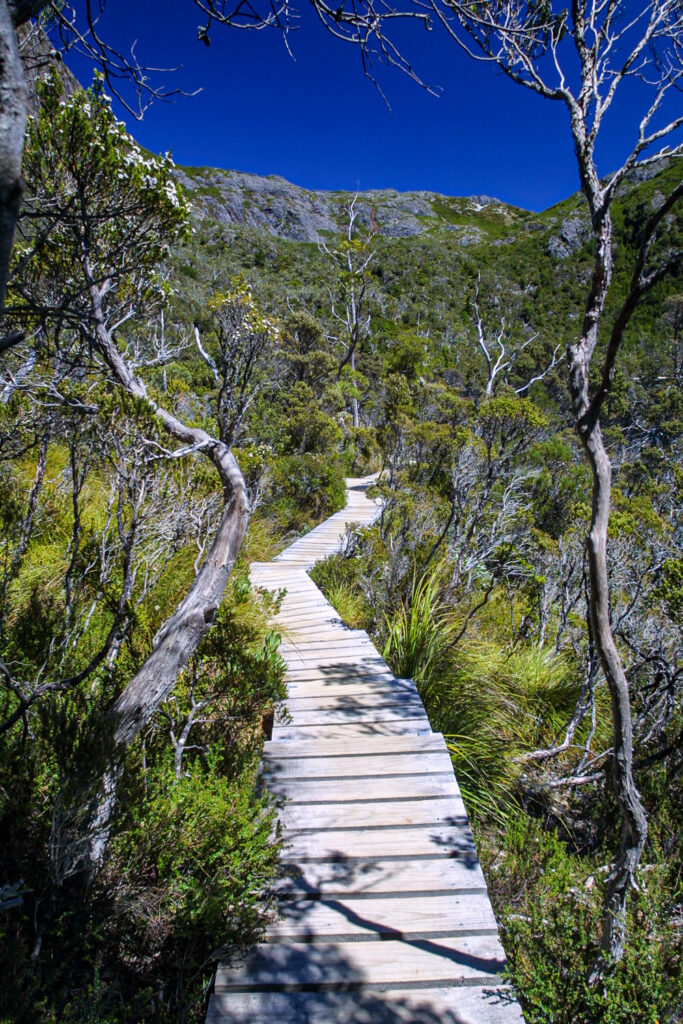 Cradle Mountain National Park, Tasmania