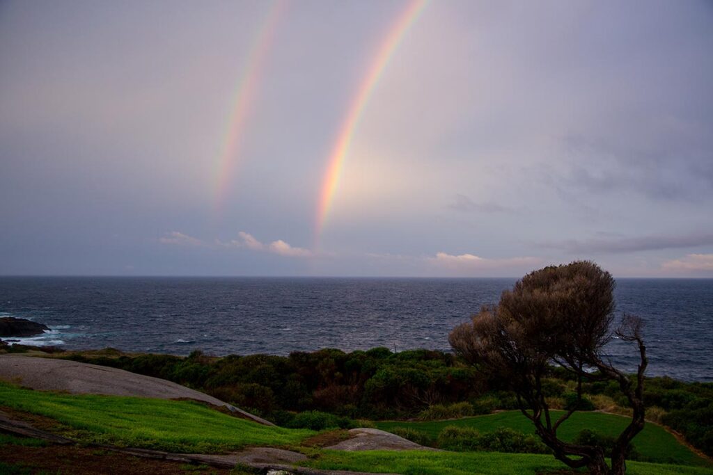 The view out over the sea from Montague Island