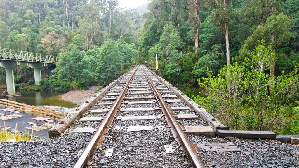 Walhalla Goldfields Railway bridge over the Thomson River