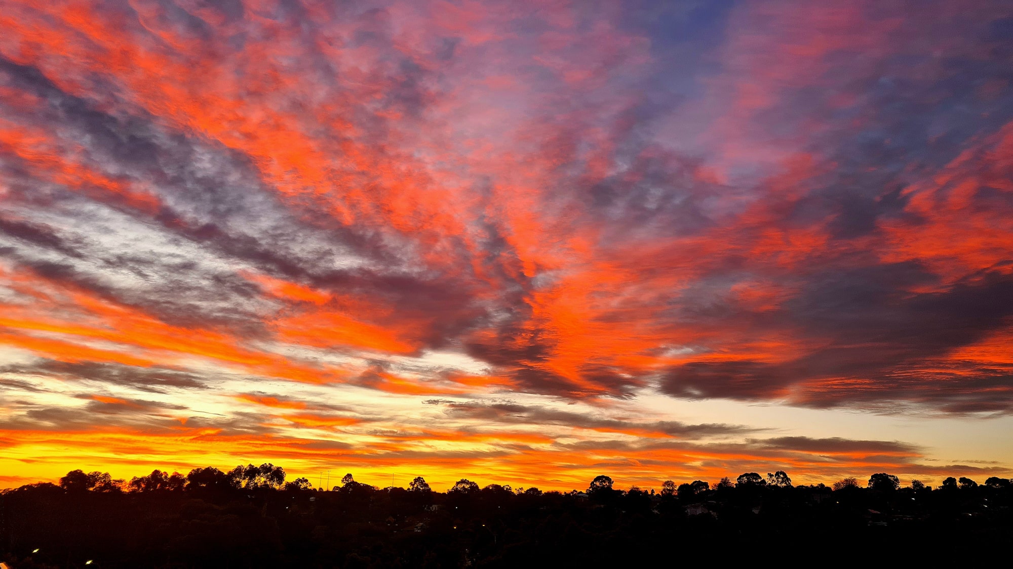 A red sky over a background of a low set tree line