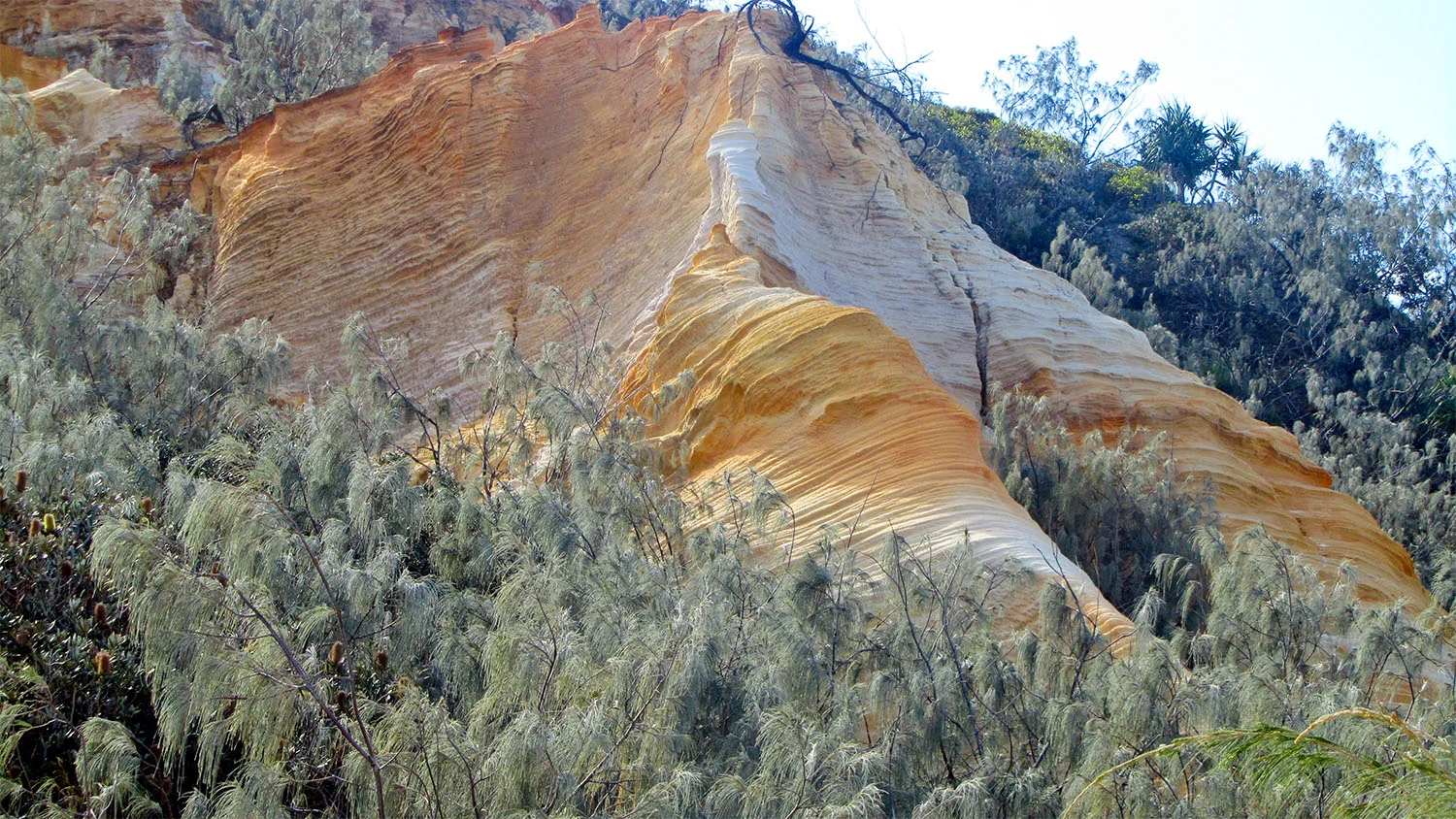 Fraser Island