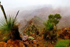 Arkaroola 4WD Ridgetop Tour - South Australia